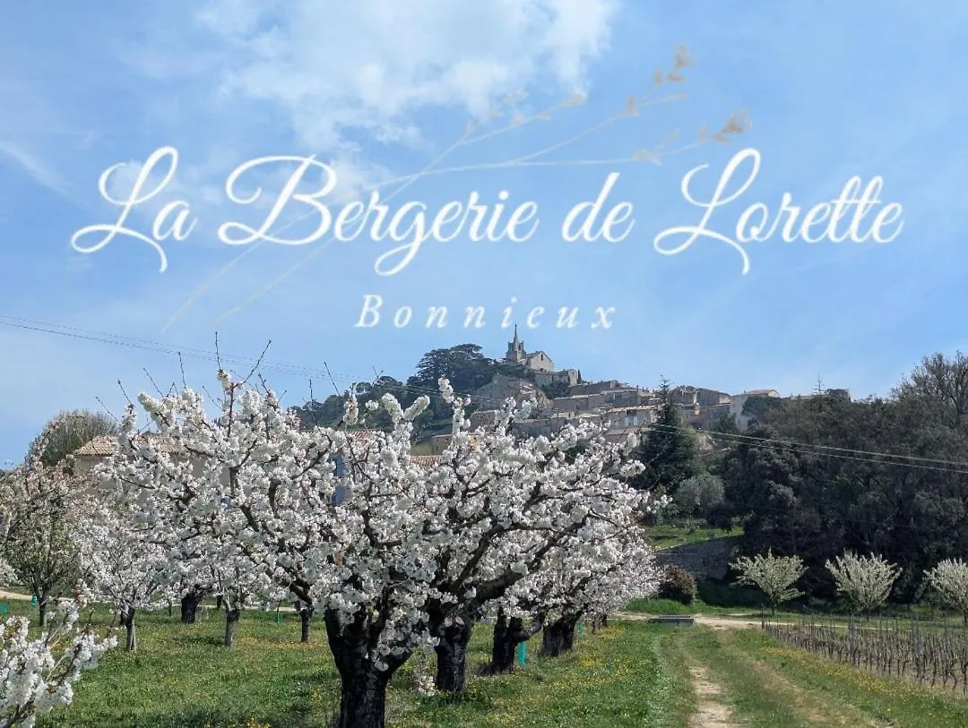 La Bergerie De Lorette - Au Coeur Du Luberon Bonnieux 0*,